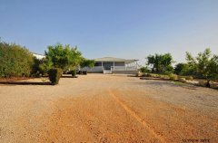 אחוזת שייה 26