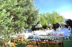 אחוזת שייה 16