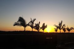 וילה מצודת דוד 29