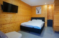 וילה מצודת דוד 44