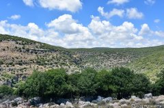 אחוזת נחל כזיב 20