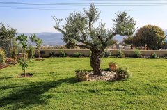 אחוזת טליה 9