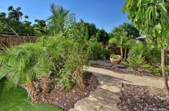 נגילה בכנרת 56