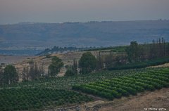 וילה מאיורי בוטיק 20