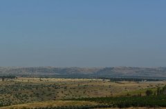 וילה מאיורי בוטיק 42