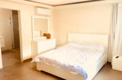 איתן פאלאס 26