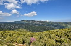 אחוזת הצוק במרומים 37