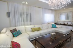 אחוזת הנרקיס 42 26