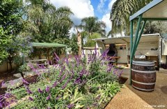 אחוזת ליאב 36