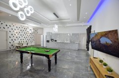 וילה פארטי טוי 11