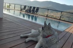 וילה אחוזת ממילא 9