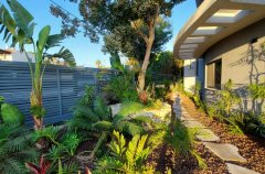 אחוזת רון בגליל 28