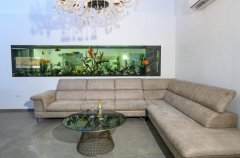 וילת השלום 26