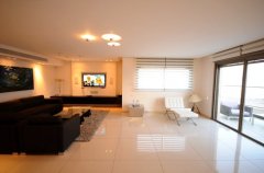 פנורמיק פנטהאוז 15