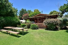 אצלנו בחצר 4