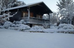 אצלנו בחצר 26