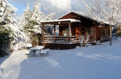 אצלנו בחצר 9