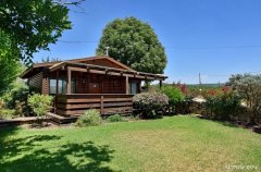 אצלנו בחצר 20