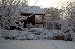 אצלנו בחצר 45