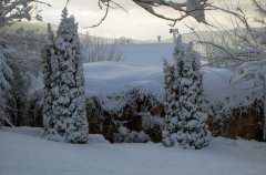 אצלנו בחצר 44