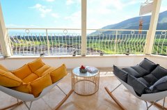 מימוסה מגדל 45