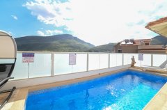 מימוסה מגדל 25