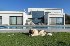 ציור נוף גולן 23