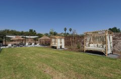 אסיה ריזורט 47