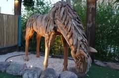 אואזיס פאלאס 22