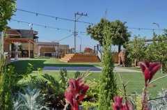 אואזיס פאלאס 67