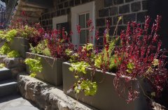 אואזיס פאלאס 78