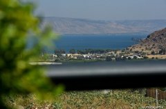 דרים האוס מגדל 9