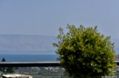 דרים האוס מגדל 33