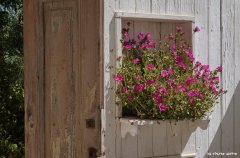 תן ריזורט 71