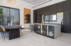 וילה אלפא 41