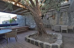 וילה אסנסיה 75