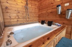 וילה שופרא 1