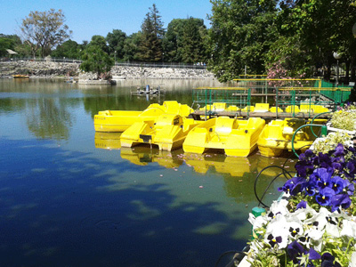 אגם חי יראון