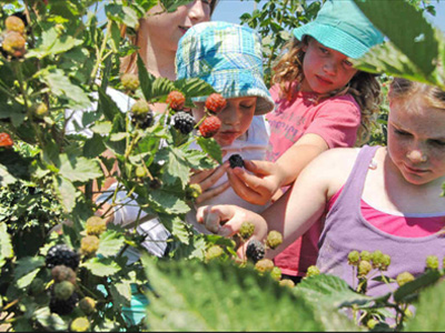 קטופותי בית לחם הגלילית